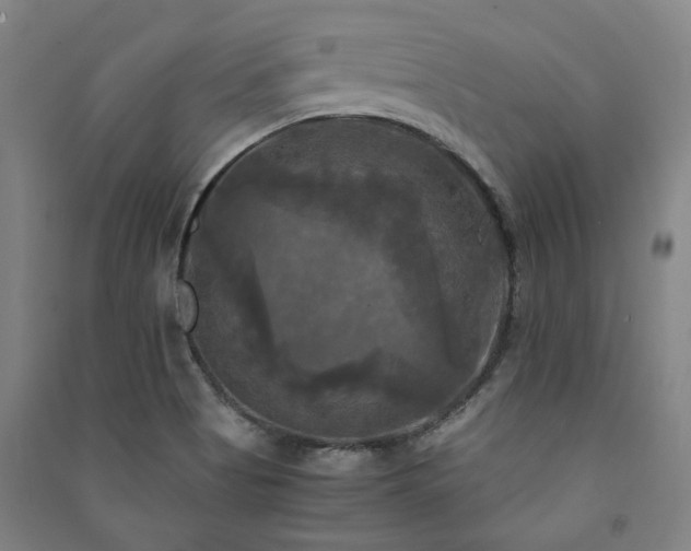 X0000091481513200708161408