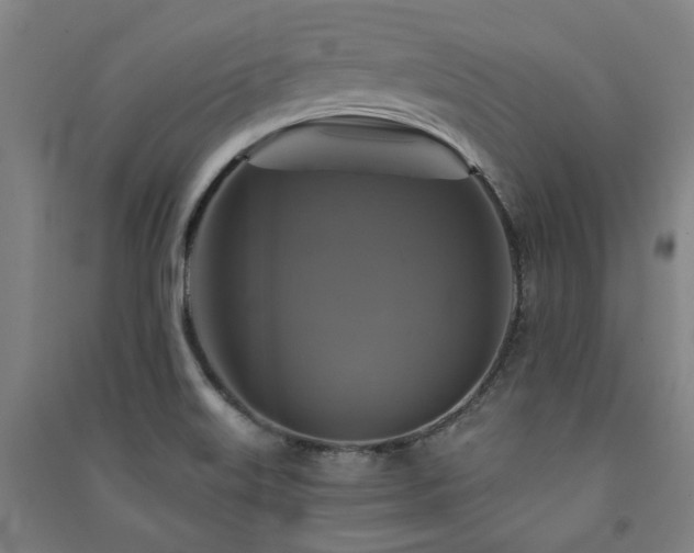 X0000091481515200708161408