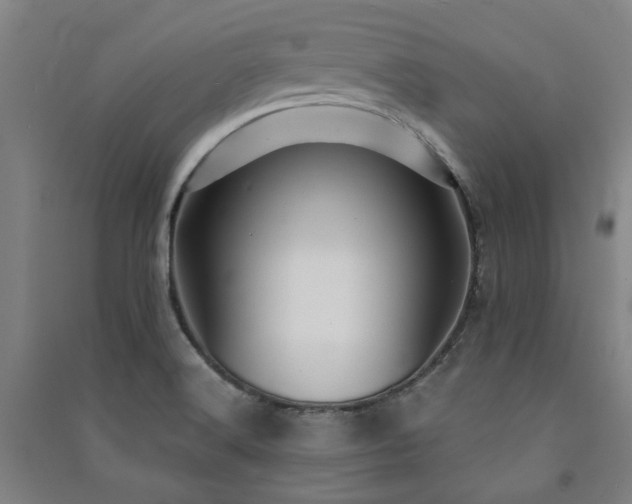X0000091481516200708161408
