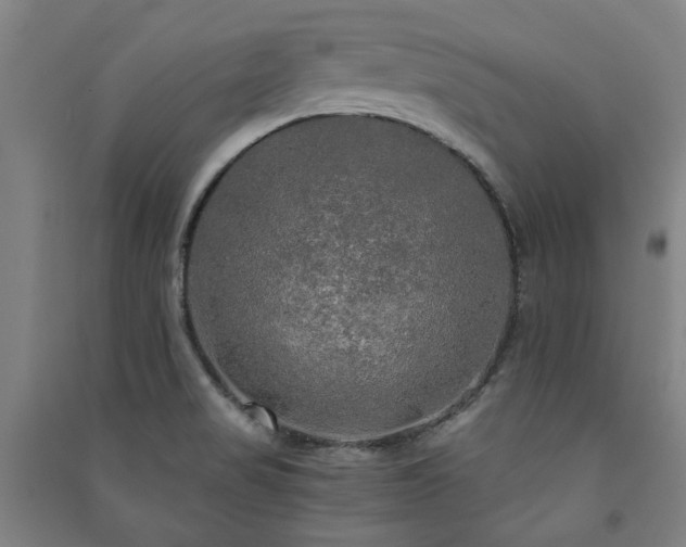 X0000091481517200708161409
