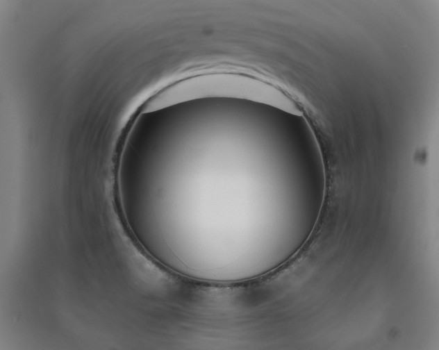 X0000091481518200708161409