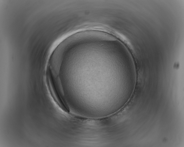 X0000091481520200708161409