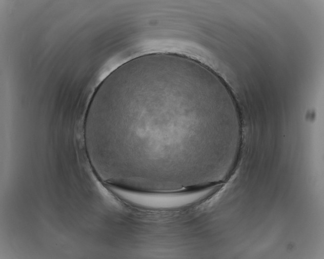 X0000091481521200708161409