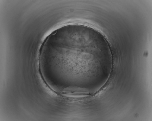 X0000091481522200708161409