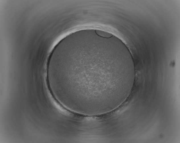 X0000091481523200708161409