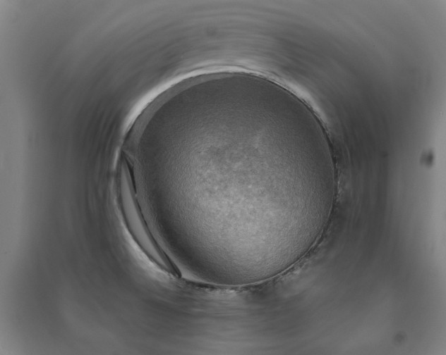 X0000091481524200708161409