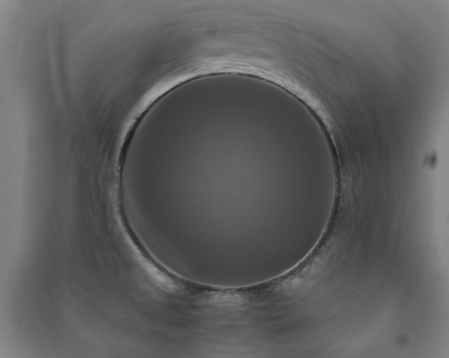 X0000091481525200708161409