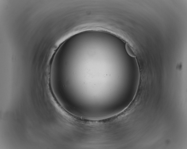X0000091481526200708161409