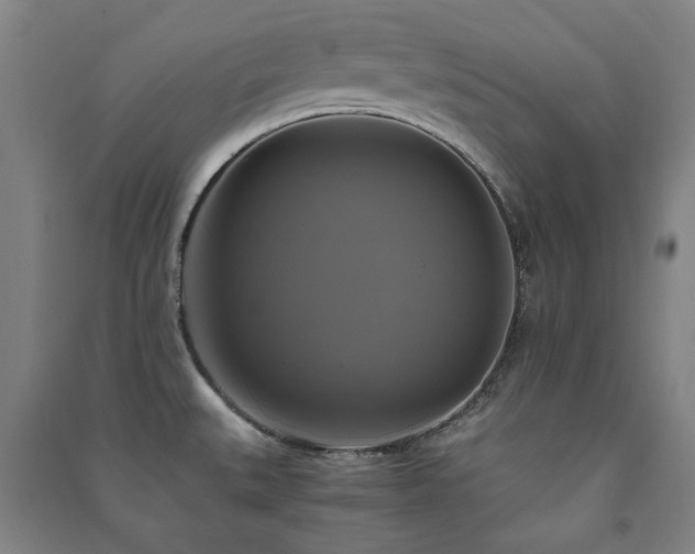 X0000091481527200708161409