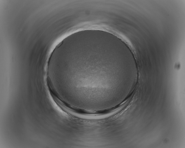 X0000091481528200708161409