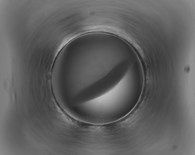X0000091481529200708161409