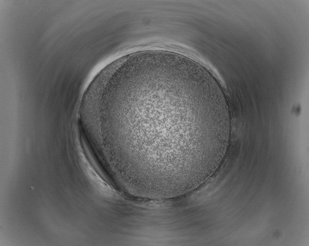 X0000091481530200708161409