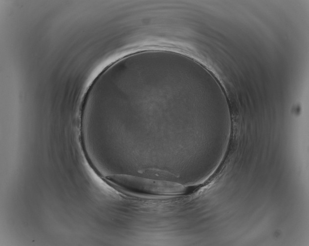X0000091481531200708161409