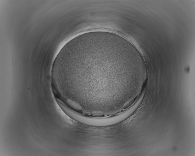 X0000091481532200708161409