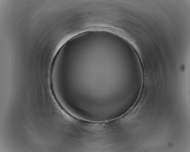 X0000091481533200708161409