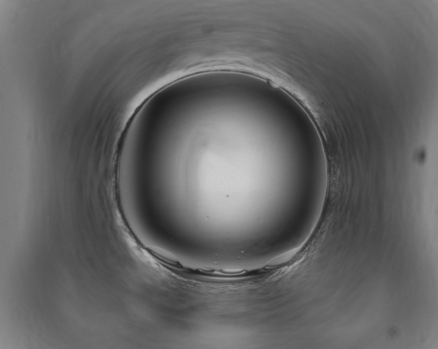 X0000091481534200708161409