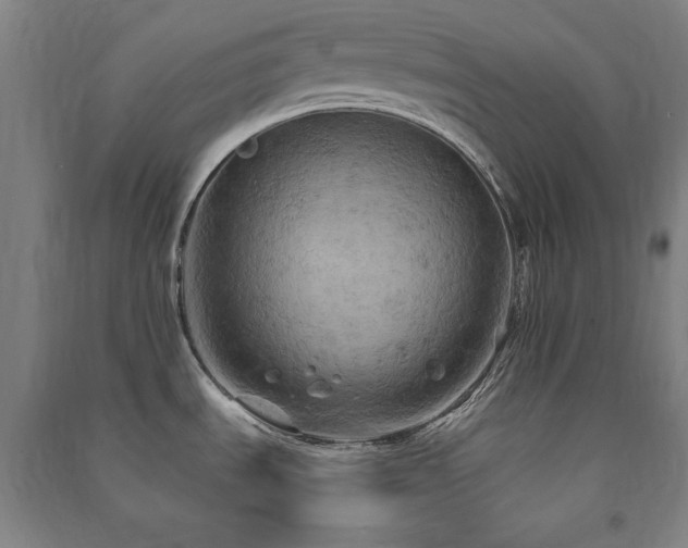 X0000091481535200708161409