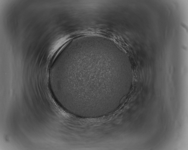 X0000091480005200708231410