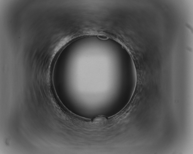 X0000091480008200708231410