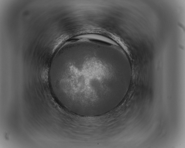 X0000091480010200708231410