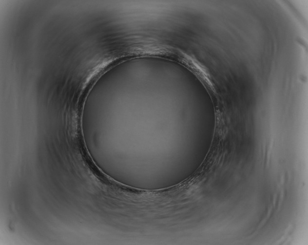 X0000091480012200708231410