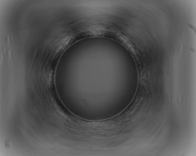 X0000091480018200708231410