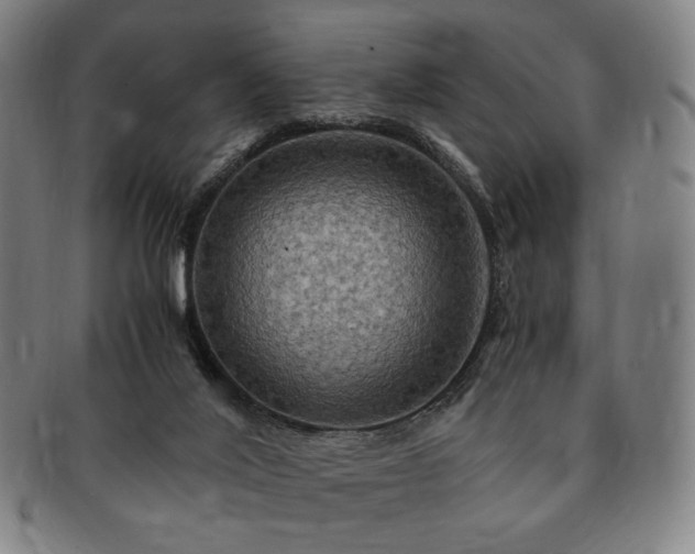 X0000091480020200708231410