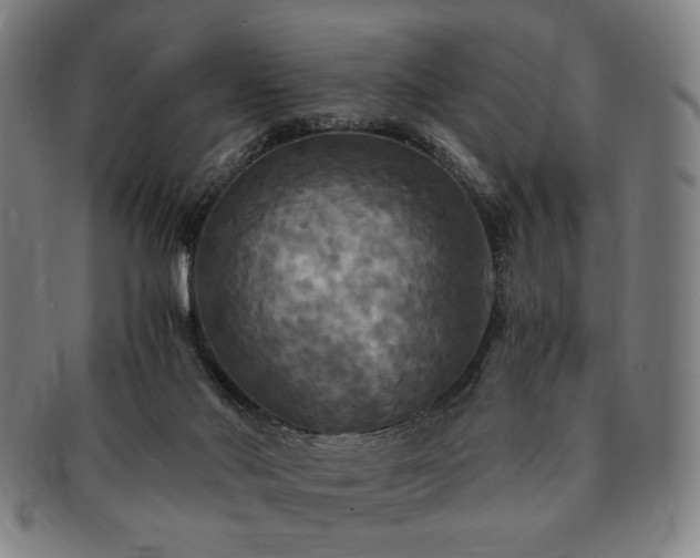 X0000091480022200708231410