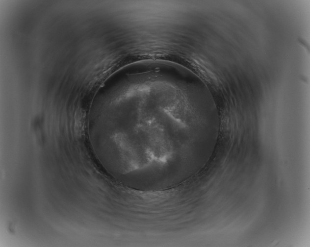 X0000091480030200708231410