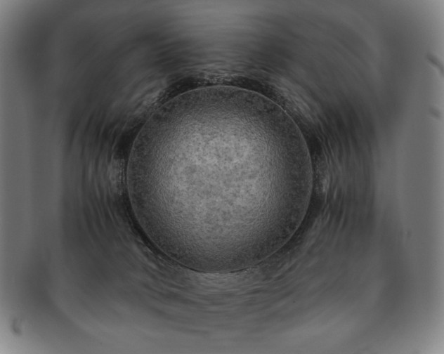 X0000091480034200708231410