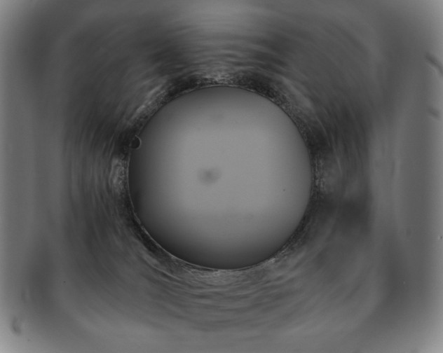 X0000091480036200708231409