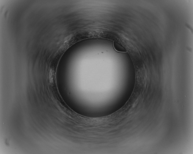 X0000091480038200708231409