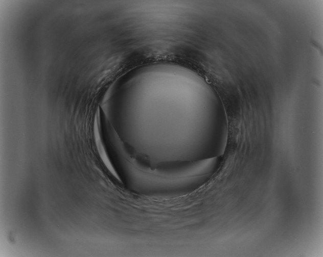 X0000091480039200708231409