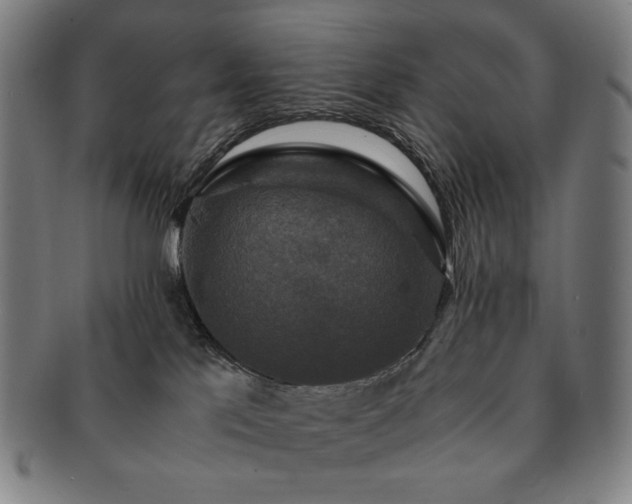 X0000091480041200708231409