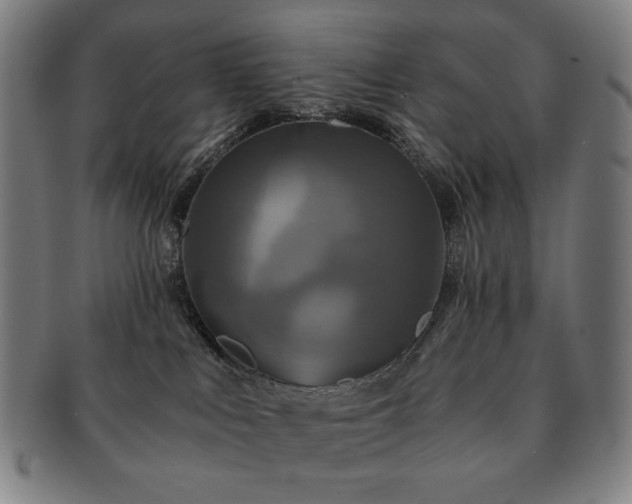 X0000091480043200708231409