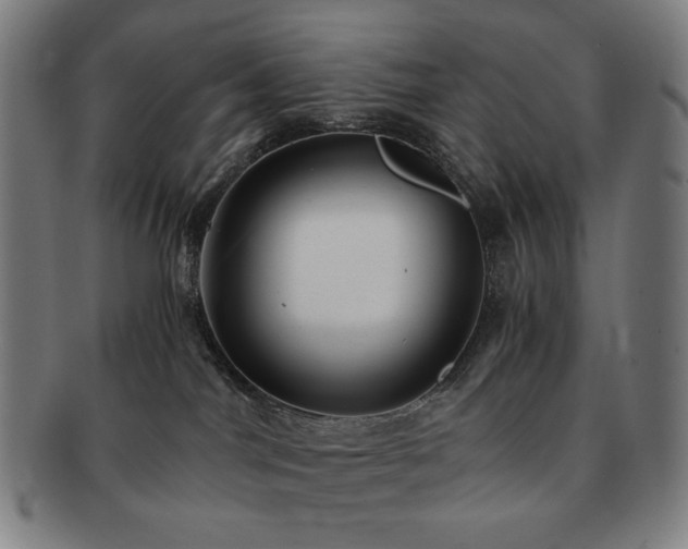 X0000091480044200708231409