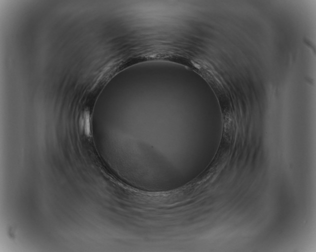 X0000091480046200708231409