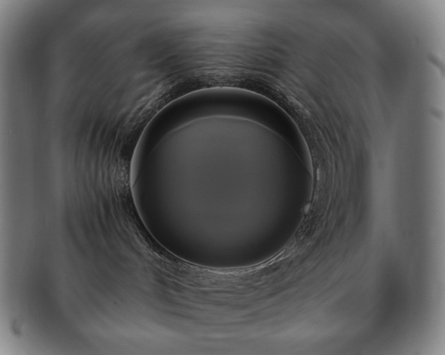 X0000091480048200708231409