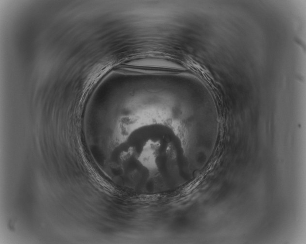 X0000091480049200708231409