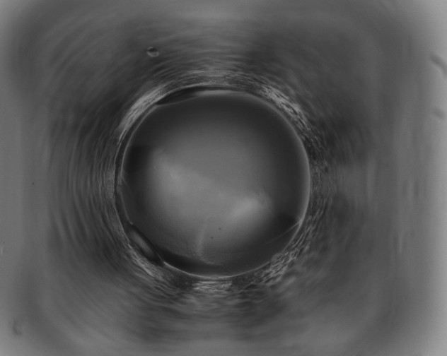 X0000091480051200708231409