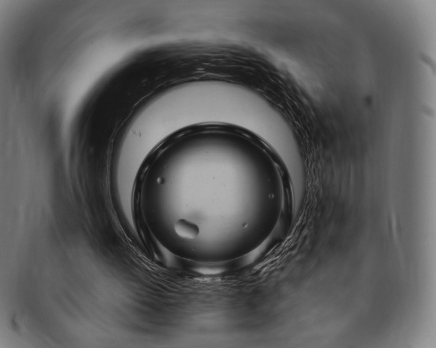 X0000091480052200708231409