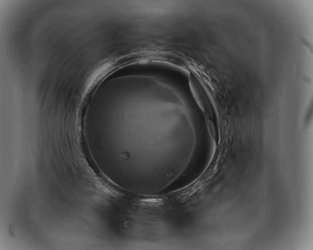 X0000091480053200708231409