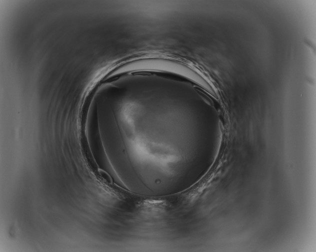 X0000091480055200708231409