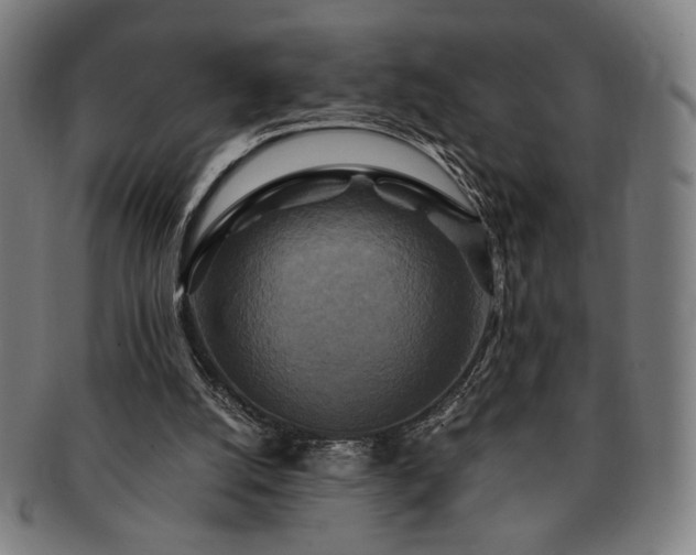 X0000091480056200708231409