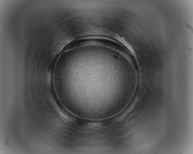 X0000091480057200708231409