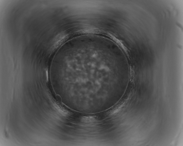 X0000091480061200708231409