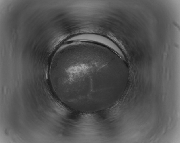 X0000091480062200708231409