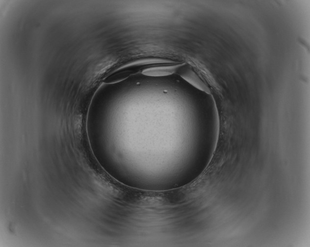 X0000091480066200708231409