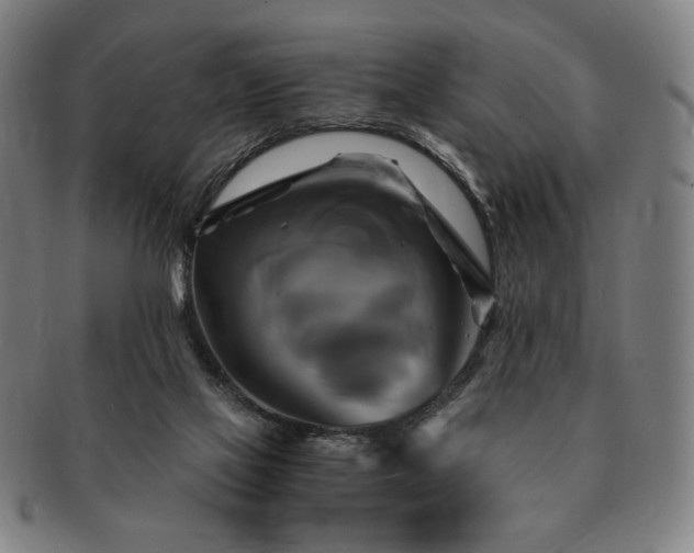 X0000091480069200708231409