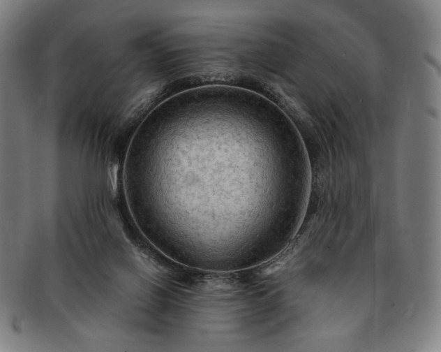 X0000091480070200708231409